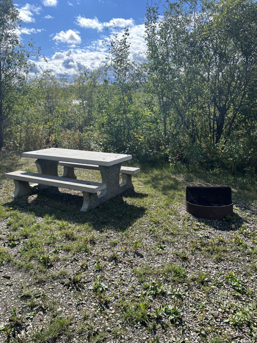 A park bench and fire pit