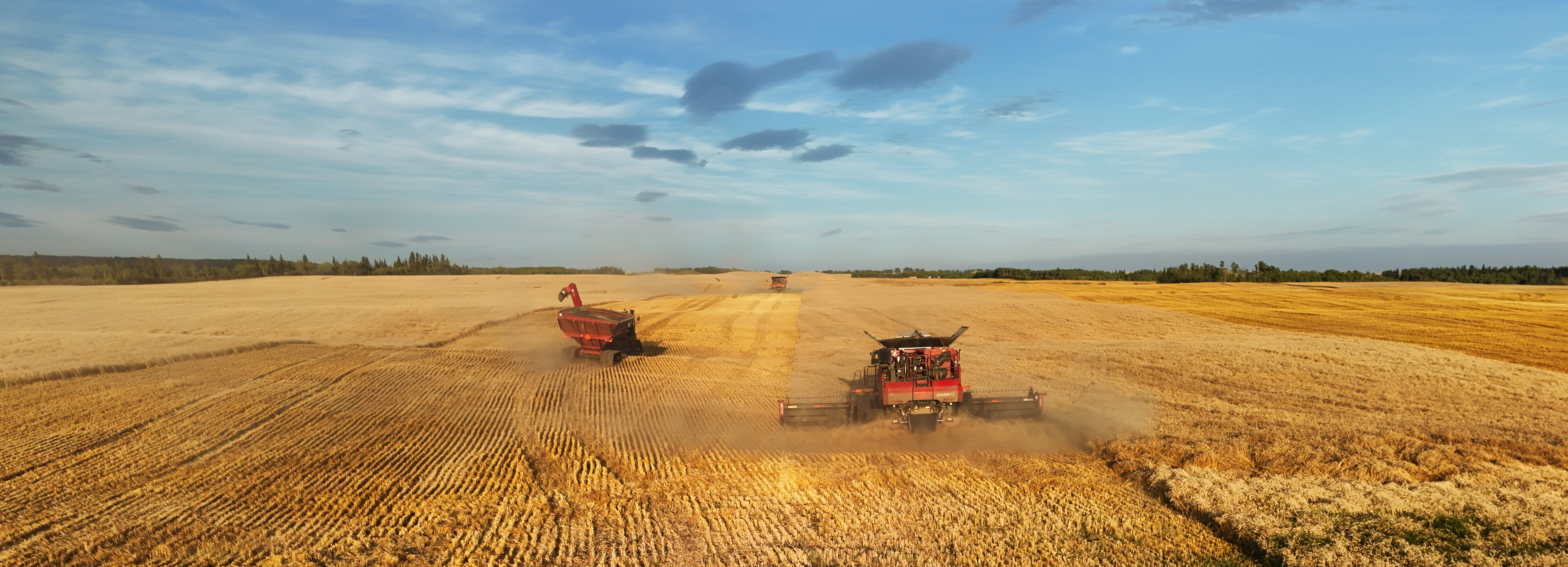 A field of wheat with threshers