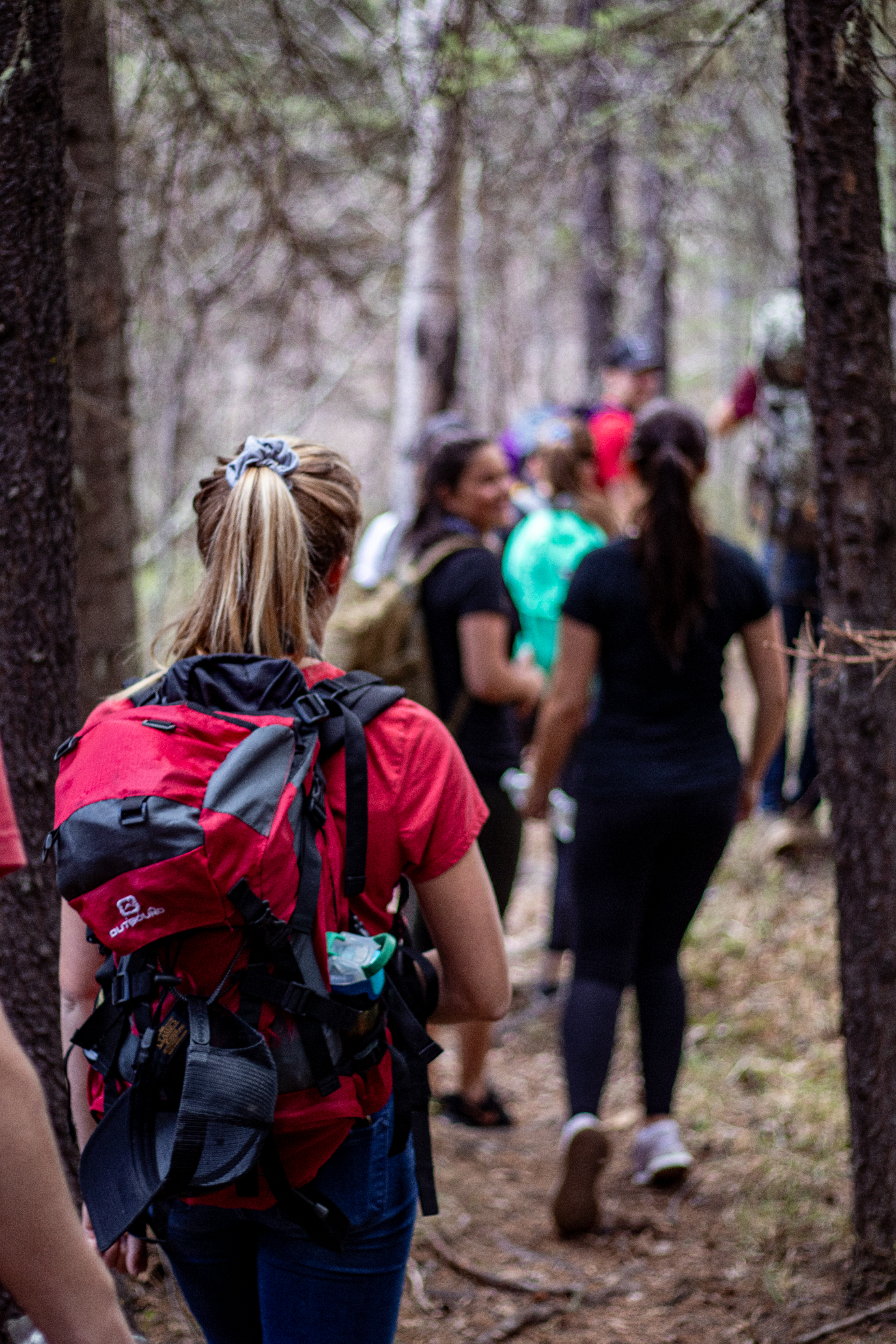 A group of hikers
