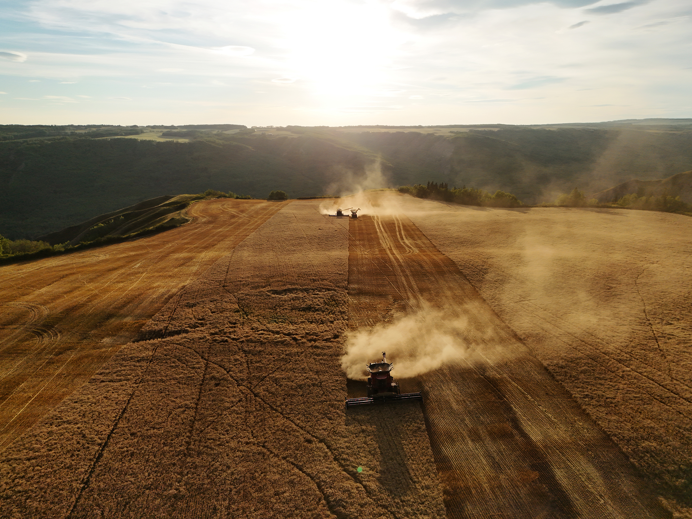 An aerial shot of machines harvesting a field