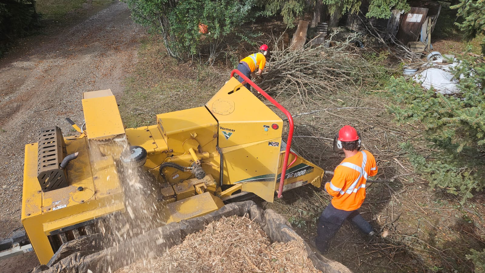Mammoth Forestry crew completing wildfire mitigation landscaping work for a senior as part of the PRRD FireSmart™ program. Peace River Regional District